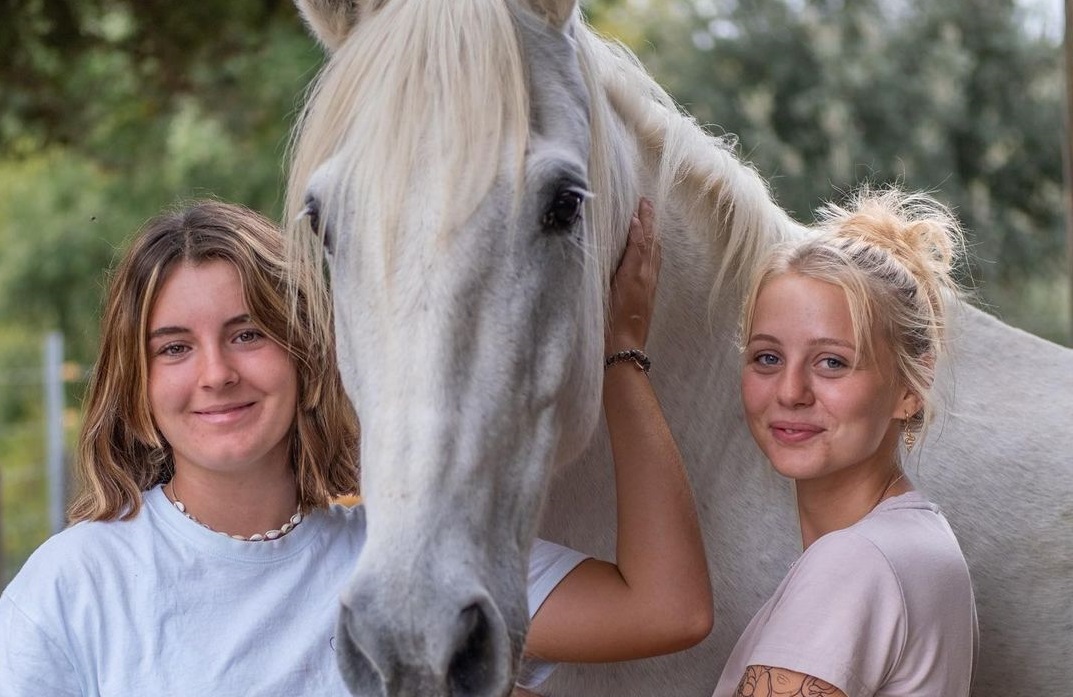 Les Dindes Sauvent Les Animaux De La Ferme Initiatives